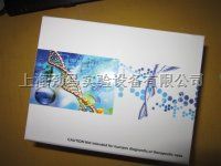 兔子免疫球蛋白E(IgE)ELISA试剂盒
