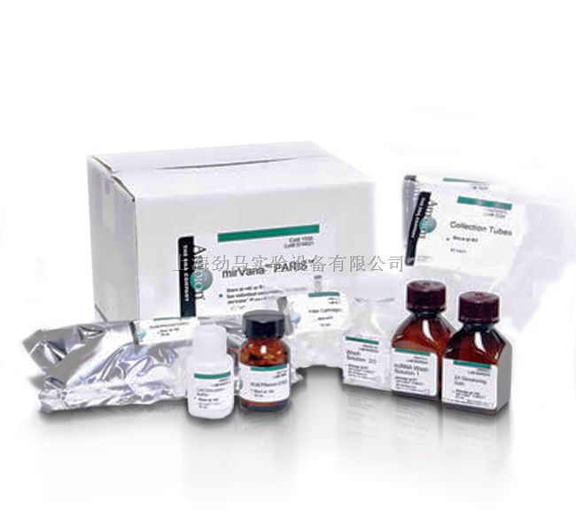 小鼠白介素23(IL-23)ELISA试剂盒