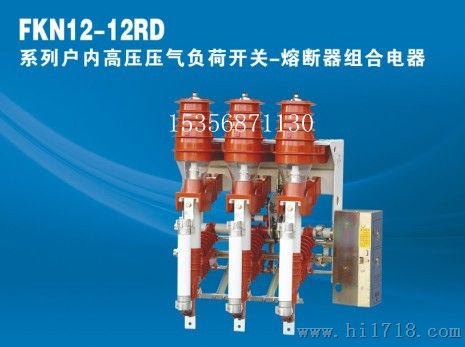 FKN12-D/T630-20价格