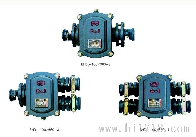 BHD2-100/660-2T