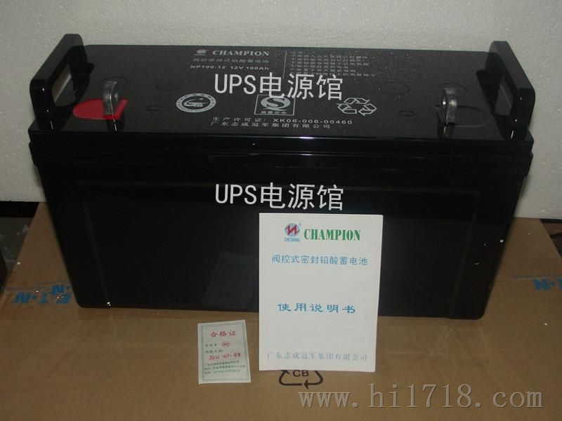 高低压配电柜EPS应急电源蓄电池NP100-12/12V,100AHCHAMPION电池