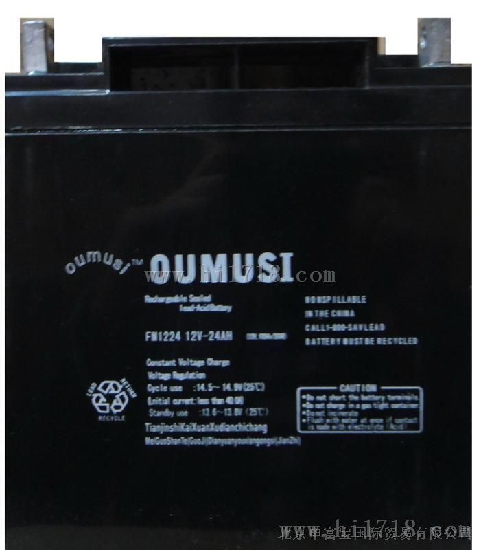 欧姆斯蓄电池12V65AH报价 欧姆斯电池总代理商