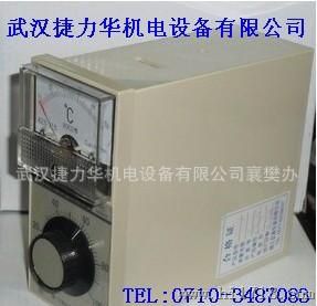 温度控制仪/浙江仪表专卖/质量/TDA-8001 0-300℃ E