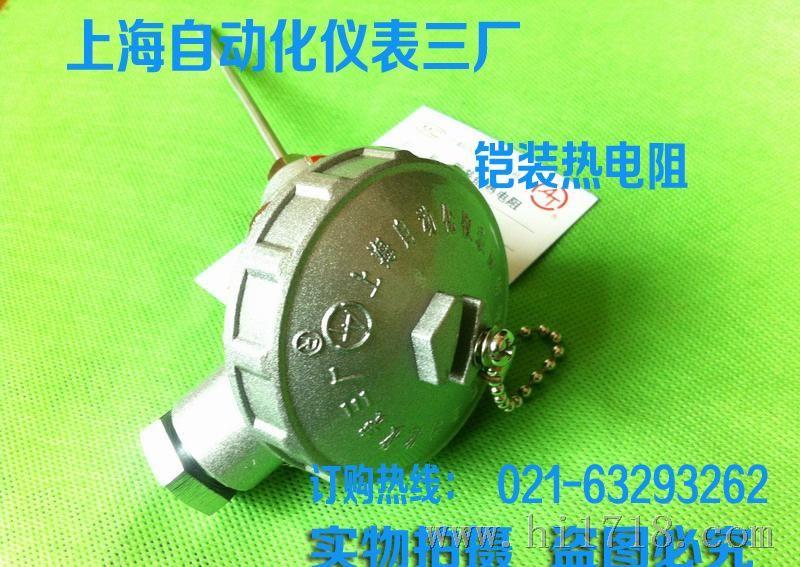 上海自仪 铠装热电阻WZPK-131  pt-100 铂热电阻