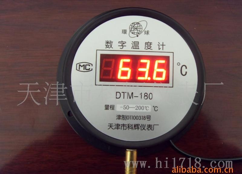 厂家大量供应 小巧数字温度计   DTM-180 ( 100mm )可加工定制