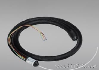 SY-BRD-450-2-GJR伴热管缆