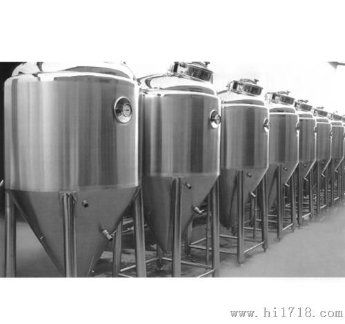 广西食品机械设备不锈钢发酵罐 菌种罐 储蓄罐