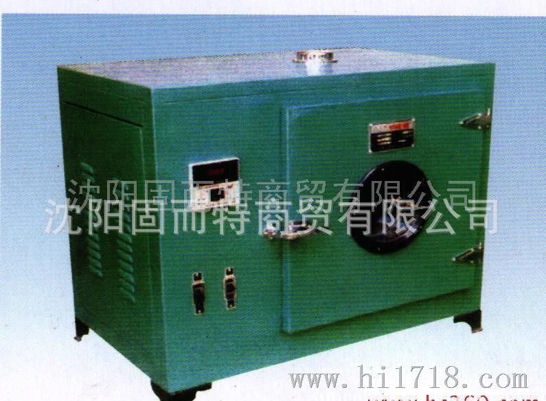 电热恒温干燥箱  鼓风干燥箱 实验室设备