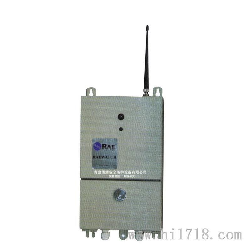 RAE/RAEWatch环境监测χ、γ 射线探测器RPF-2000系列/山东批发