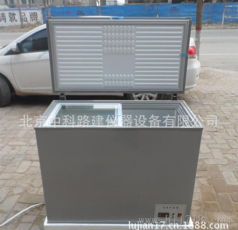 中科路建生产销售  -40℃冰柜低温箱 115L冰箱低温箱