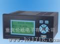 NH-XSR10F流量积算记录仪 接各类电流电压或脉冲输出的流量变送传
