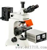 正置荧光显微镜（XSP-12CⅥ）