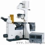 倒置荧光显微镜（IBE2000）