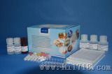 Beta-内酰胺类检测试剂盒