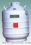 储存式液氮容器 (YDS-35-80)