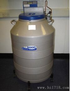 Taylor-Wharton泰莱华顿 LS系列液氮罐（LS6000）