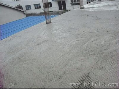> 驰龙轻质混凝土楼板屋面浇筑工程 > 高清图片