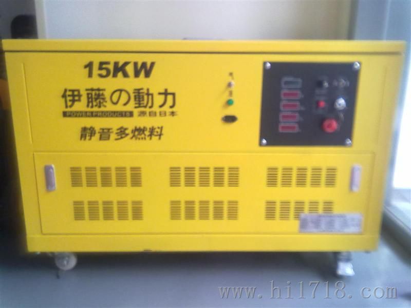 15KW汽油发电机/YT15REG