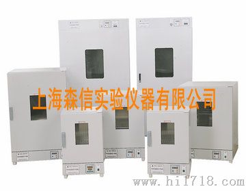 上海森信DGG-9003系列  台式电热恒温鼓风干燥箱（至200℃）