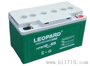HTS12-65美洲豹直流屏蓄电池销售中心
