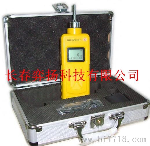 泵吸式一氧化碳检测仪CY-CO