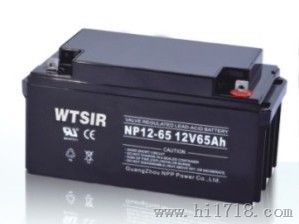 德国WTSIR电池NP65-12(12V65Ah)