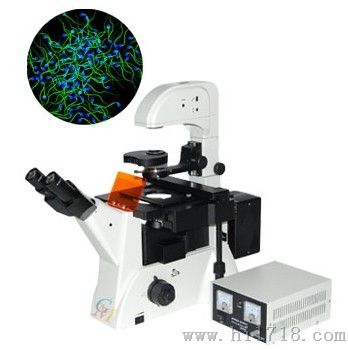 无限远荧光显微镜