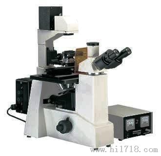 热卖上海上光倒置荧光显微镜 XDY-100