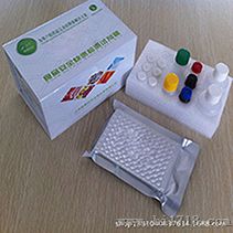 黄曲霉毒素B1检测试剂盒