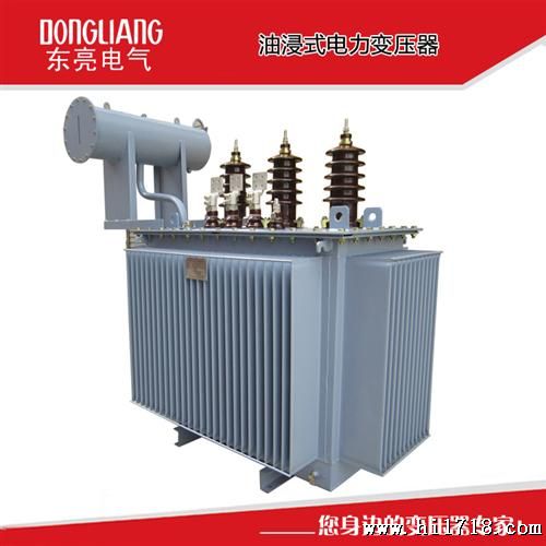 原厂供应电力变压器 油浸式变压器S9-100/35 品质