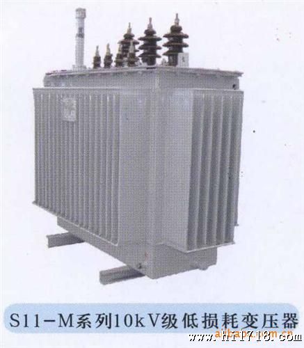 供应油浸式s11-315kva电力变压器