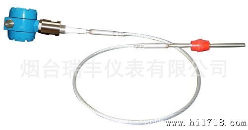 烟台 HKDR-09系列射频导纳液位计 支持加工定制
