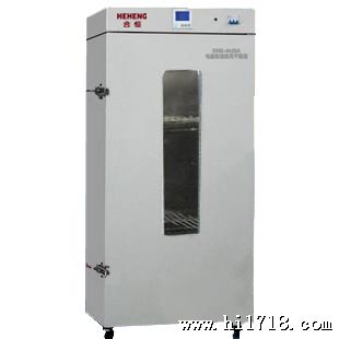 上海电热老化试验箱DHG-9620A