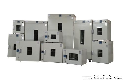 DHG系列电热恒温鼓风干燥箱 烘箱 老化箱 食品检验干燥箱