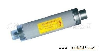 厂供优质现货外国型号SFL.J-12系列西安限流熔断器(变压器保险管)