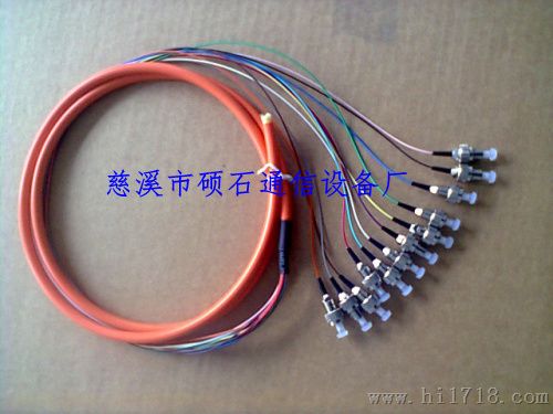 FC12芯单模/多模束状尾纤
