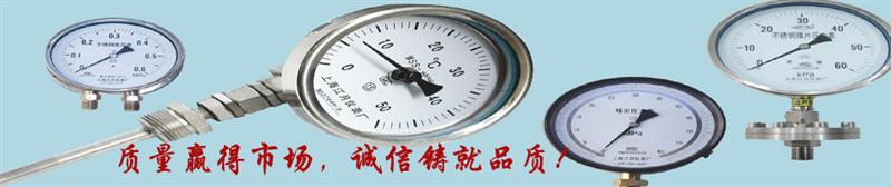 上海江月仪表厂