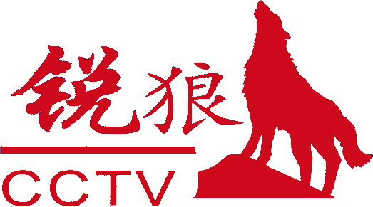 深圳市锐狼安防有限公司