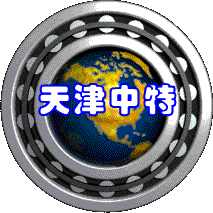 天津市中特轴承责任有限公司