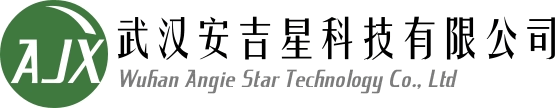 武汉安吉星科技有限公司