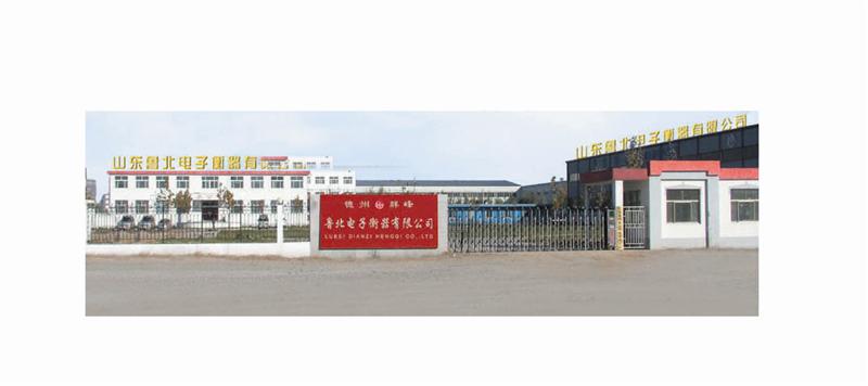 中国鲁北电子衡器有限公司