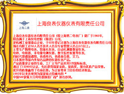 上海良表仪器仪表有限责任公司