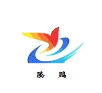 南京腾鹏分析仪器制造有限公司