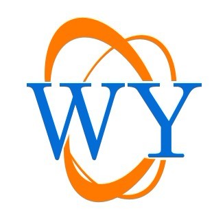 金湖伟业仪表有限公司