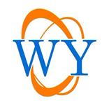 金湖伟业仪表有限公司