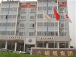 安徽皖缆仪表集团有限公司