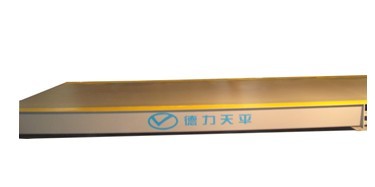 安徽德力衡器制造有限公司