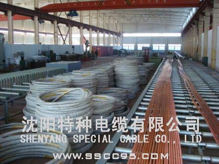 沈阳特种电缆有限公司