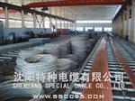 沈阳特种电缆有限公司