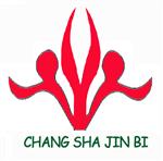 长沙金臂试听设备有限公司